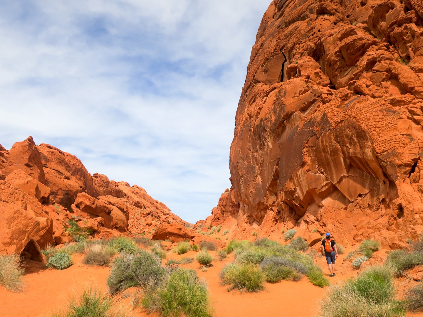 Admiring the rock walls at Valley of Fire State Park.