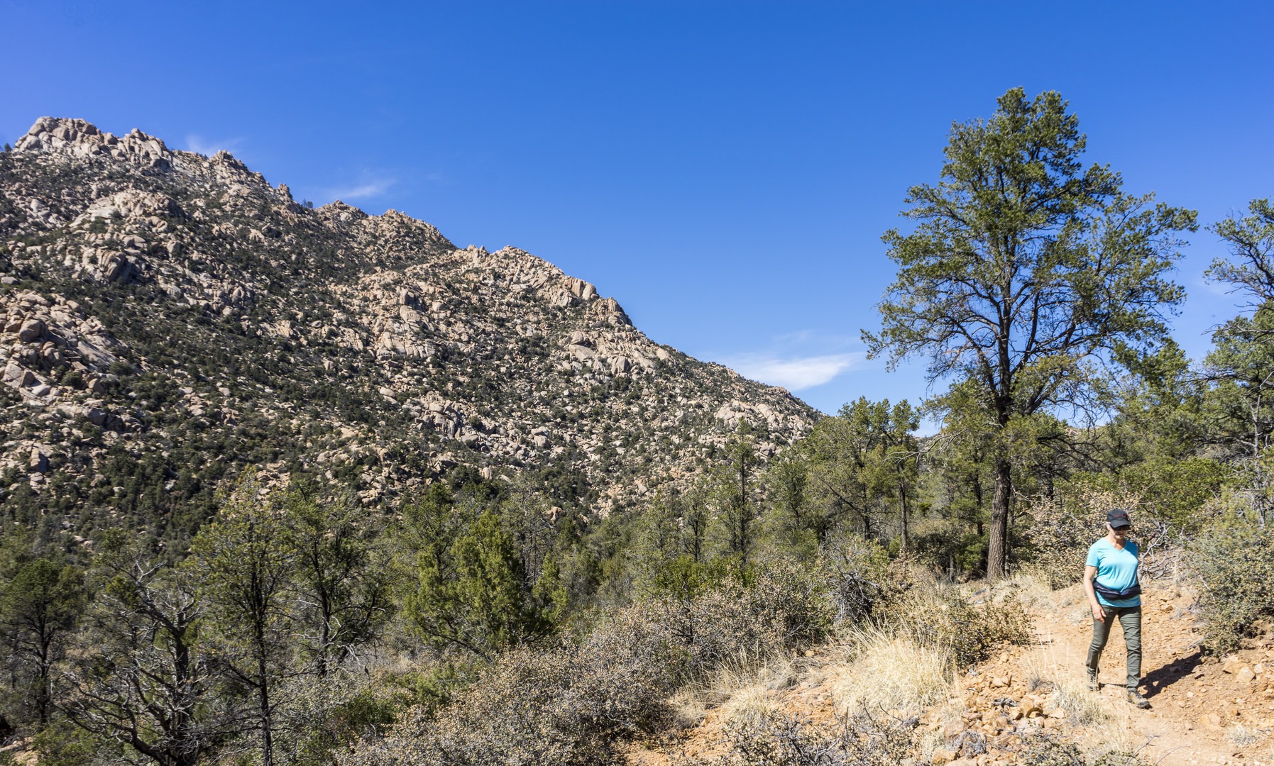Granite Mountain from the MInt Wash Connector Trail.