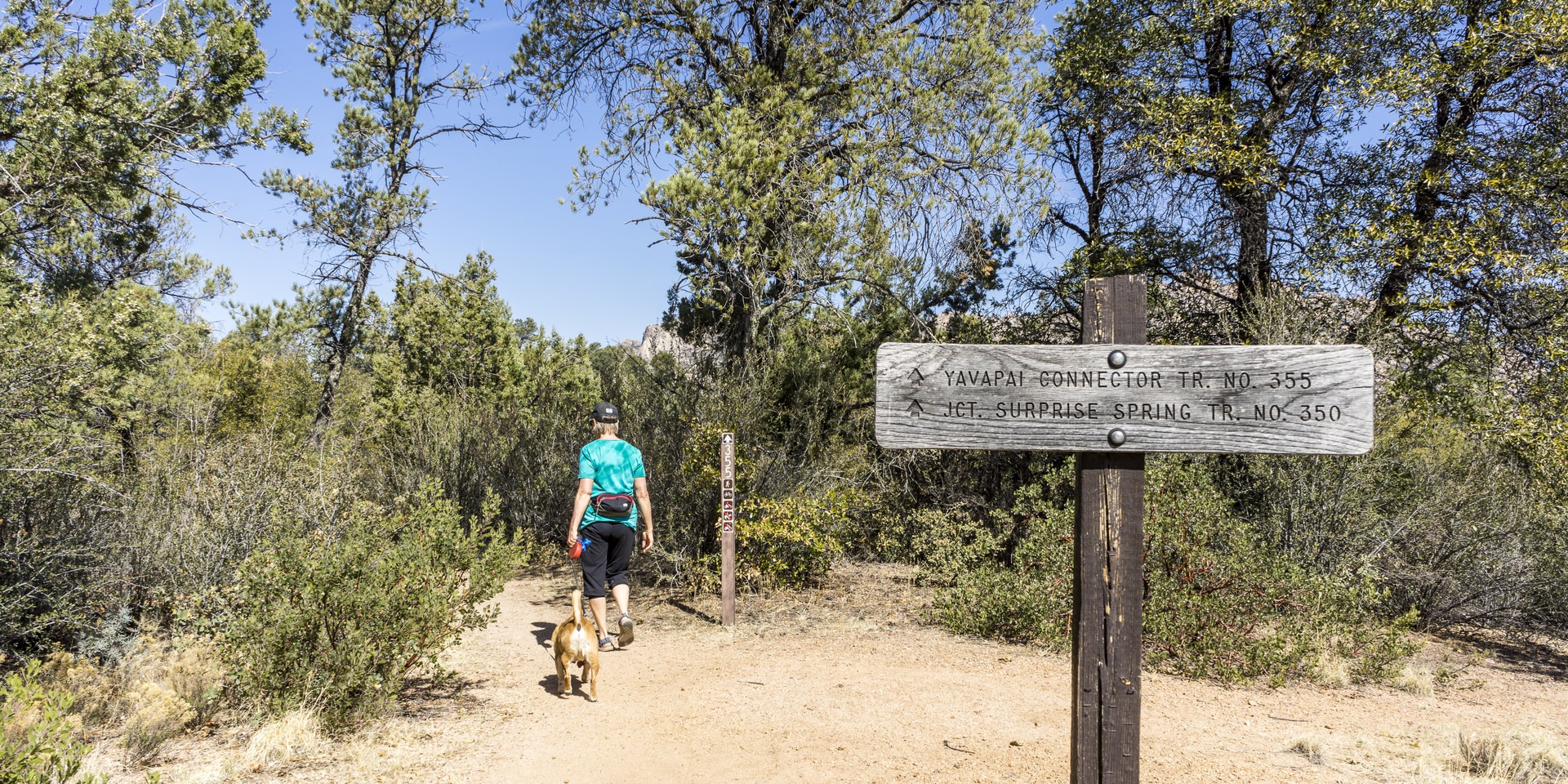 The Yavapai Connector Trail leads to Surprise Spring Trail in a few hundred yards.