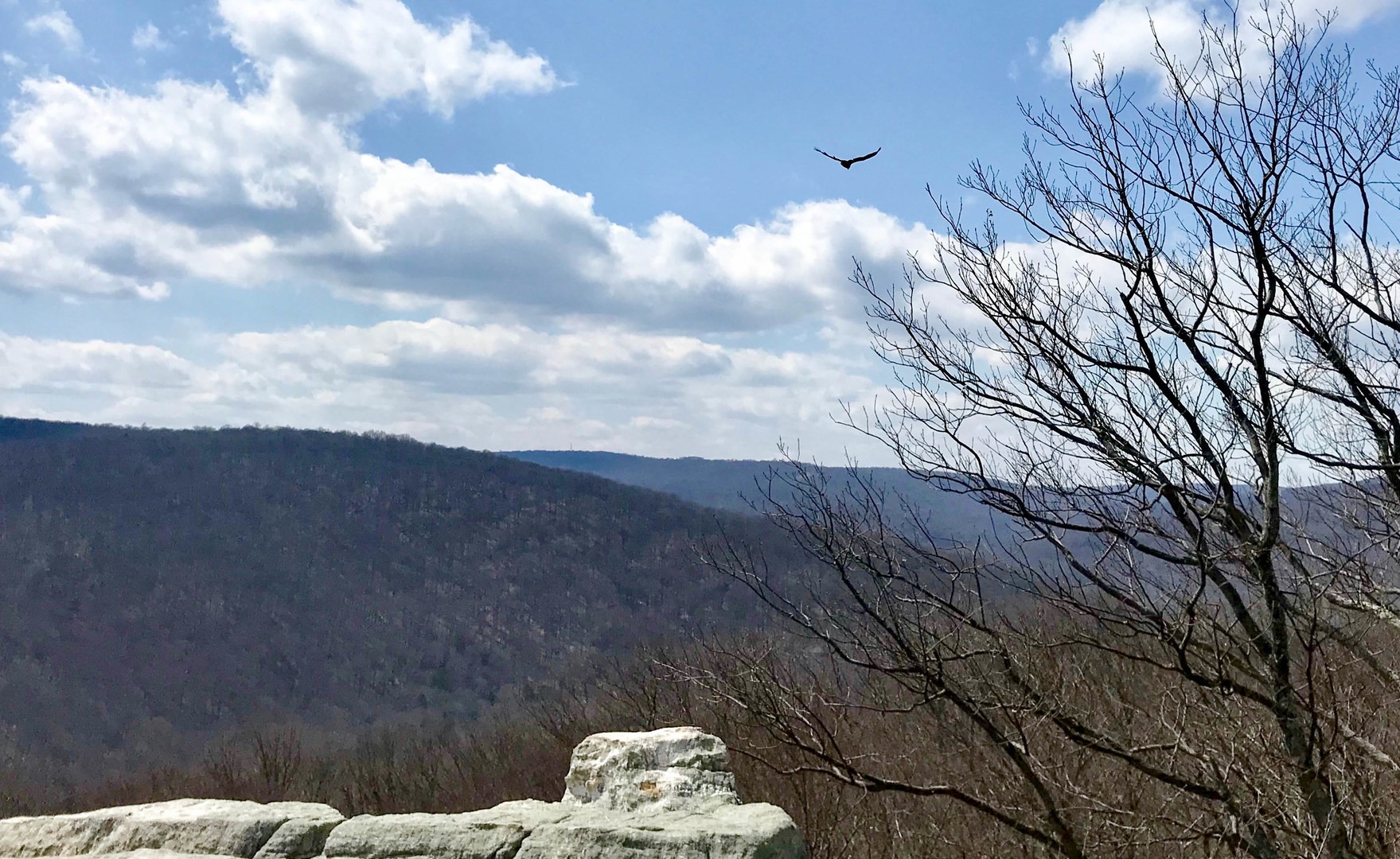 As an added bonus, hawks love to play in the wind near the rocks. Keep an eye out for them!