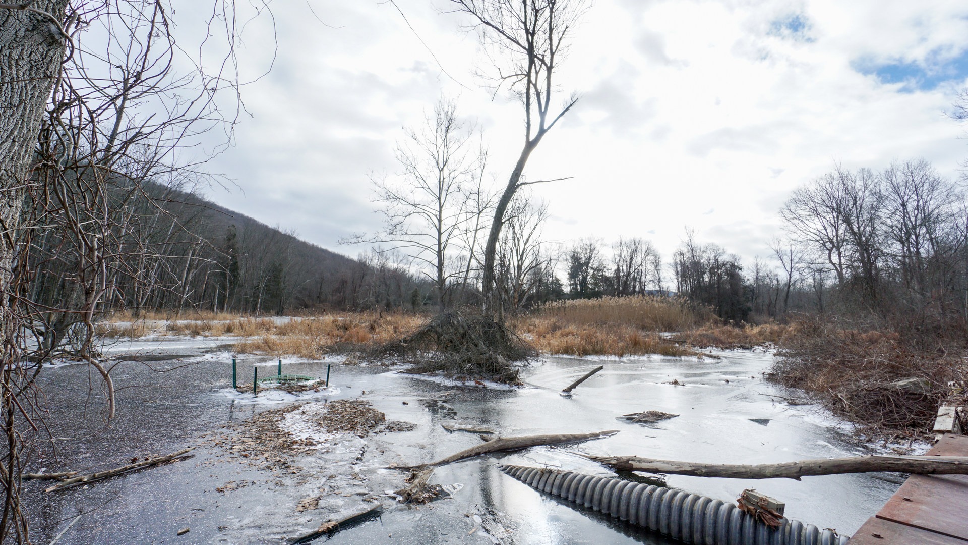 A striking unnamed pond greets you as you begin this loop.
