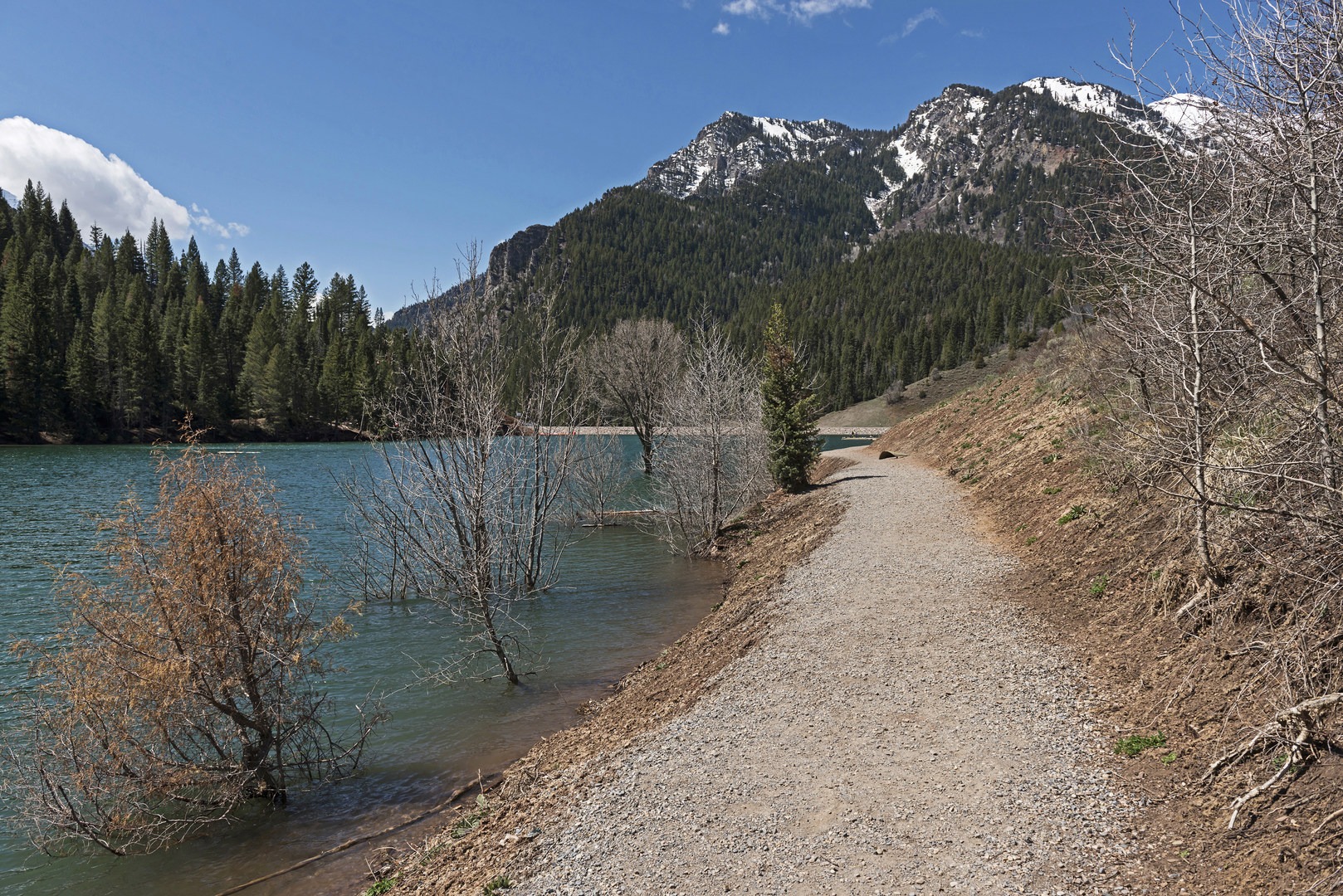 Tibble Fork Loop Outdoor Project