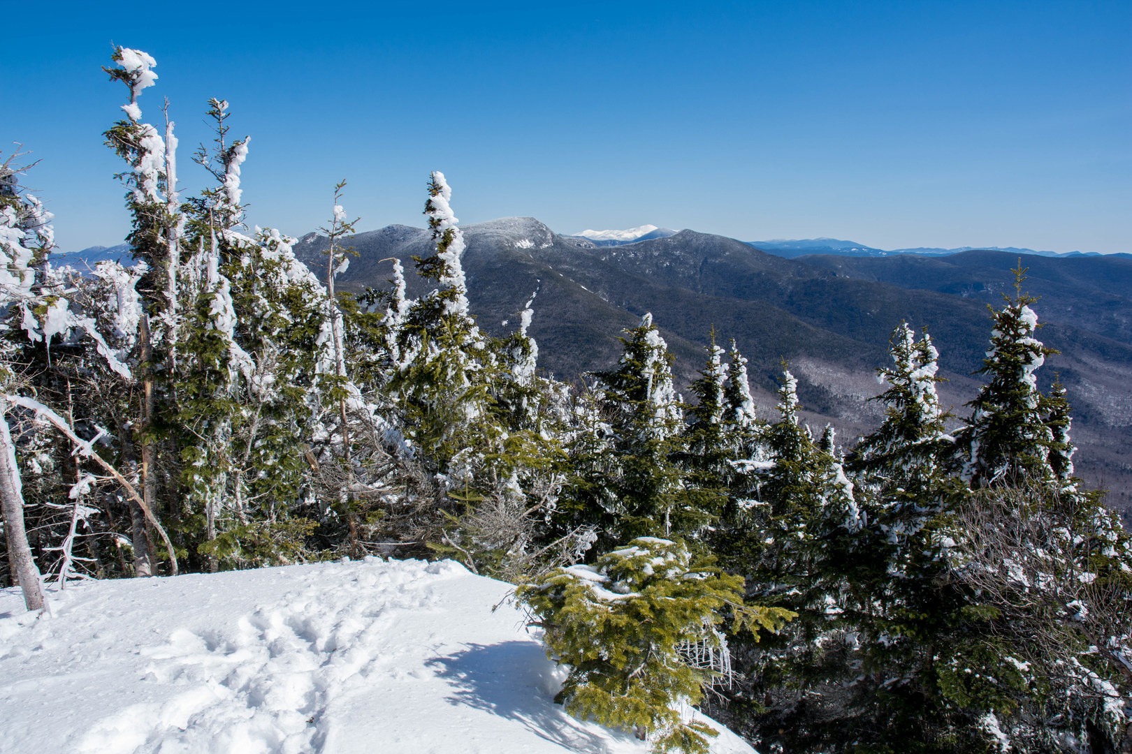 View from the summit of Mount Tecumseh.