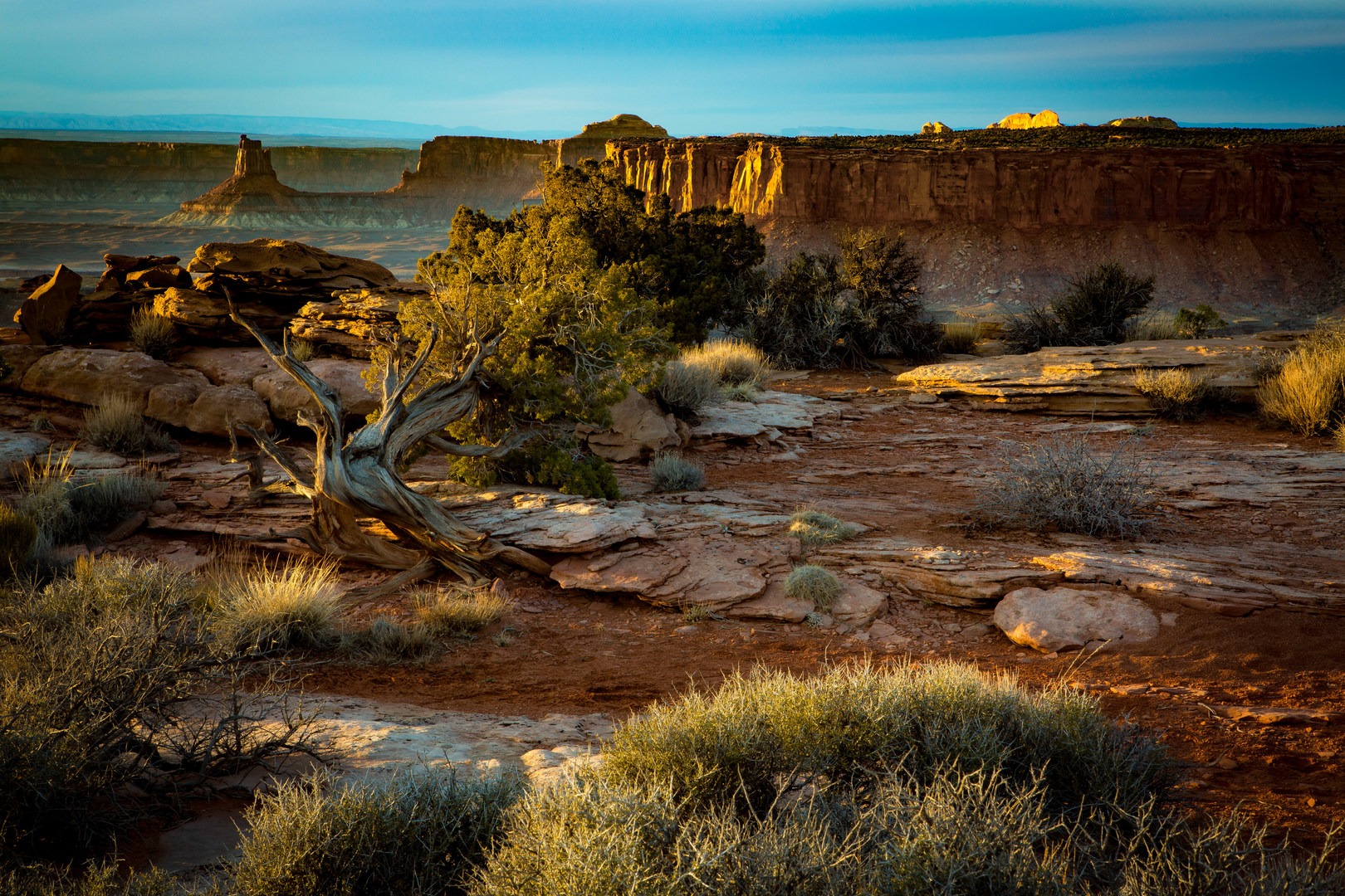 View from Grand Viewpoint Trail.