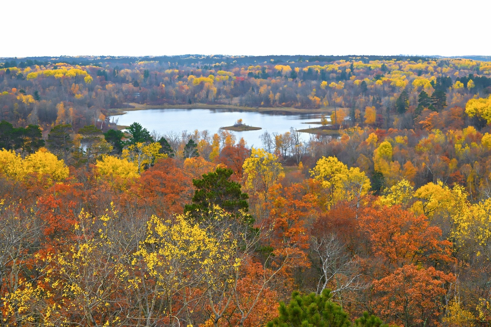 Looking northwest through the beautiful colors of the fall vegetation.