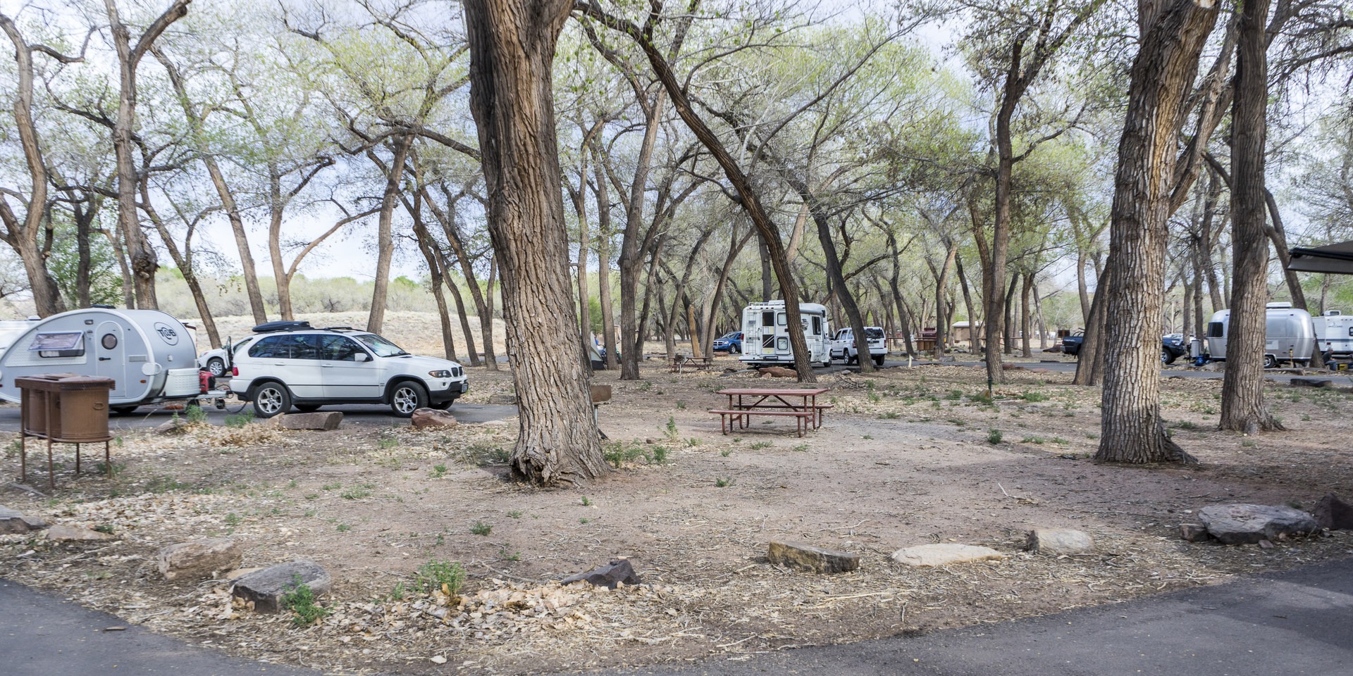 View of Loop 2 under the cottonwoods.