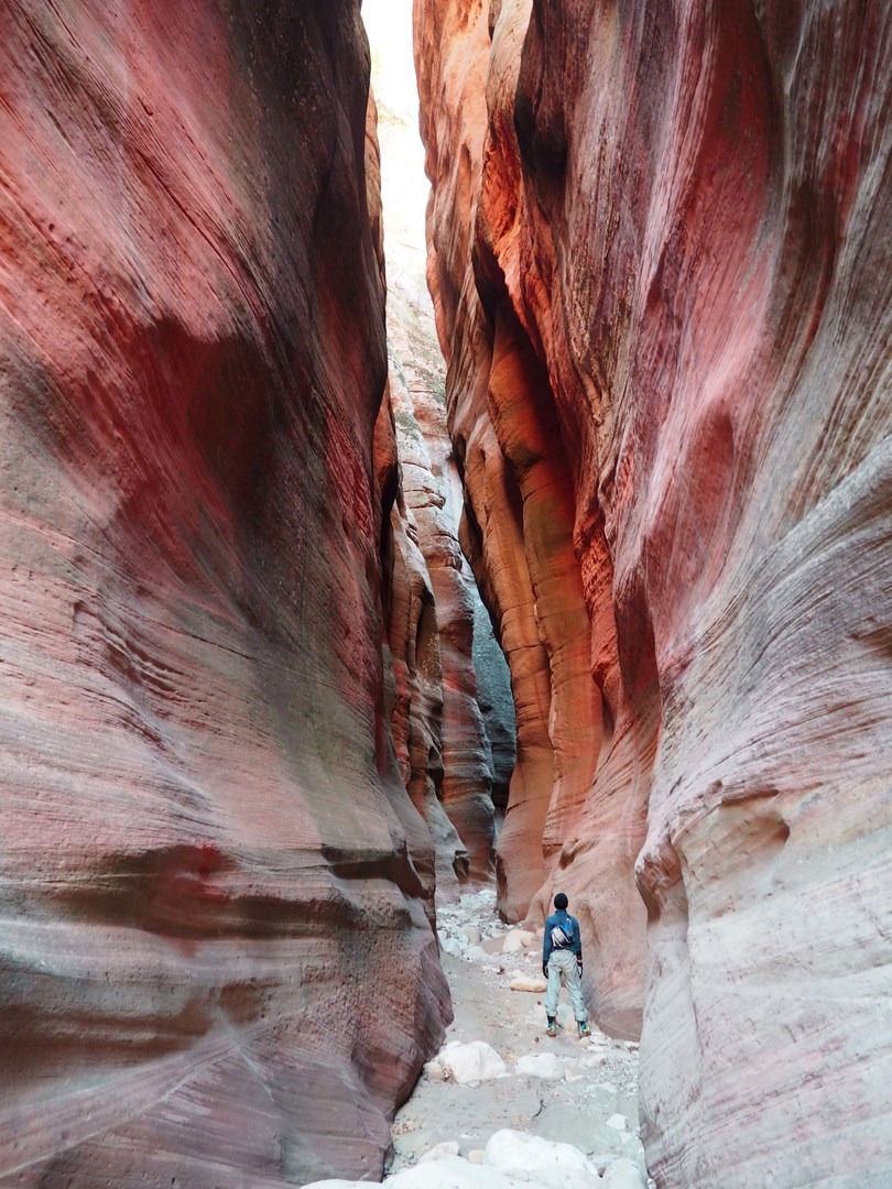 Enjoying the canyon walls in Orderville Gulch.