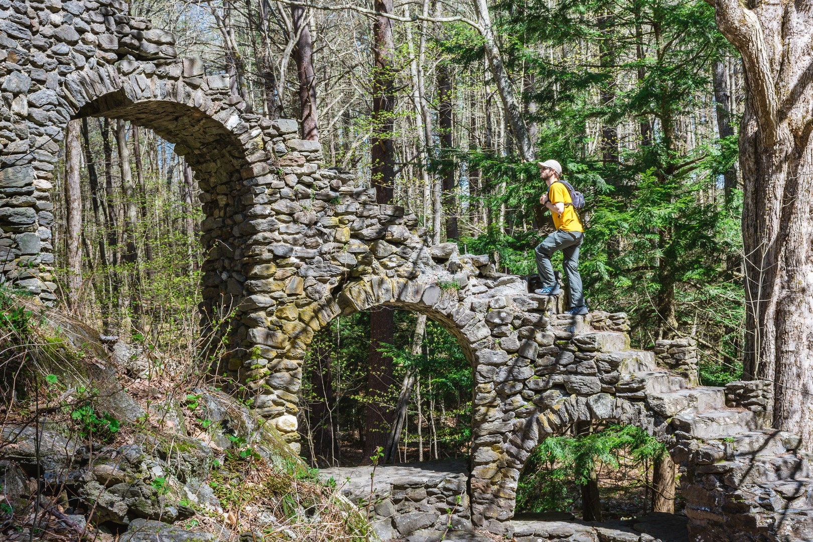 Madame Sherri's Castle remains.