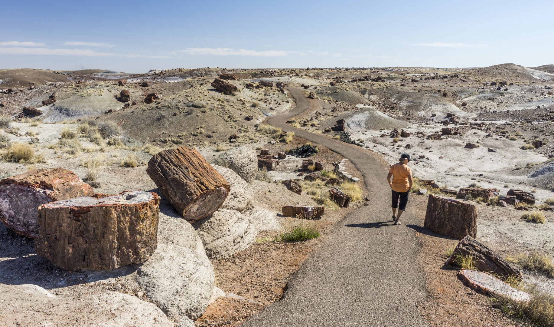 Crystal Forest Loop Hike.