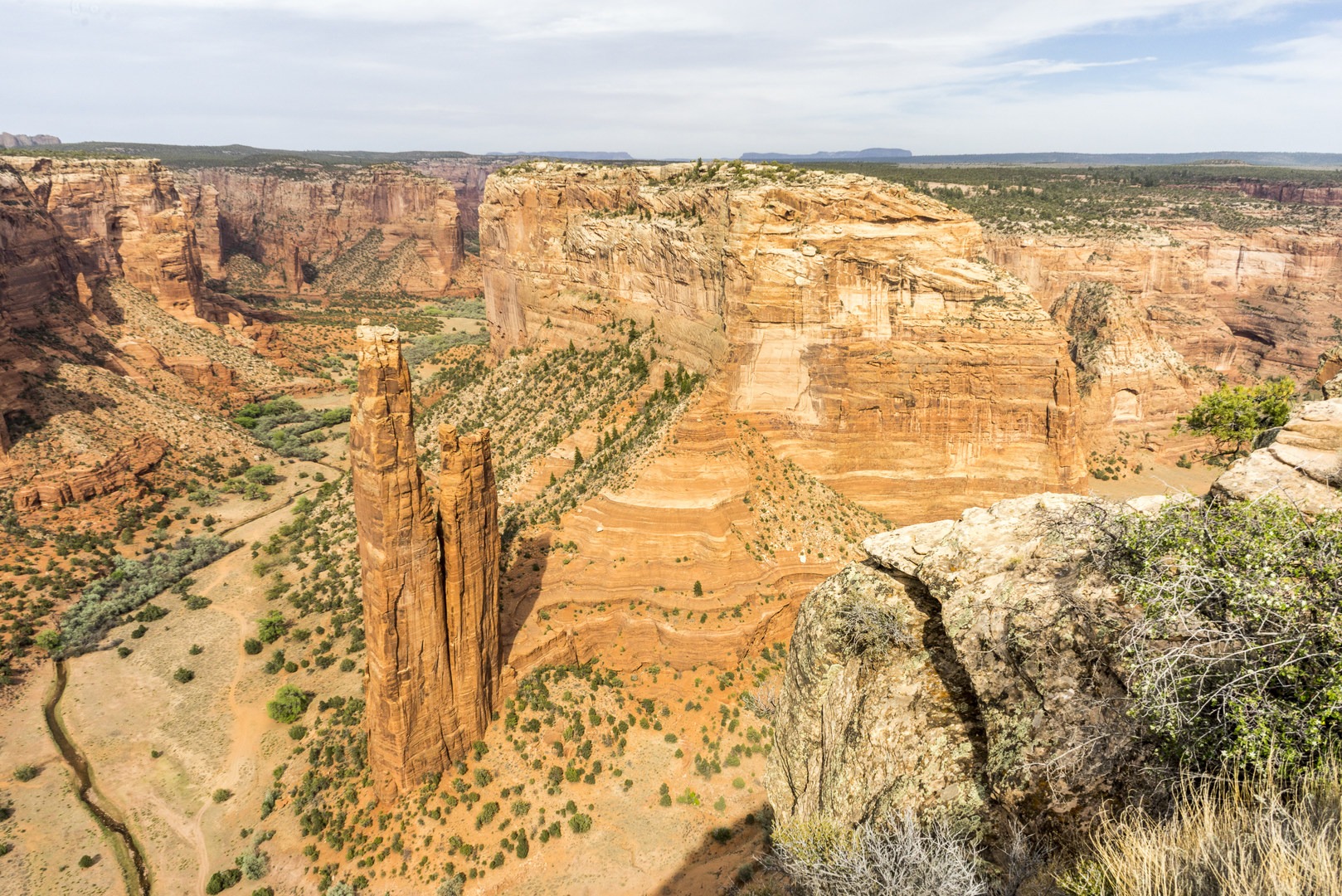 Spider Rock from the overlook.