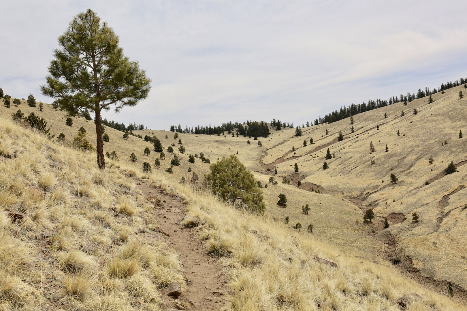 Stunning views around the 2-mile mark.