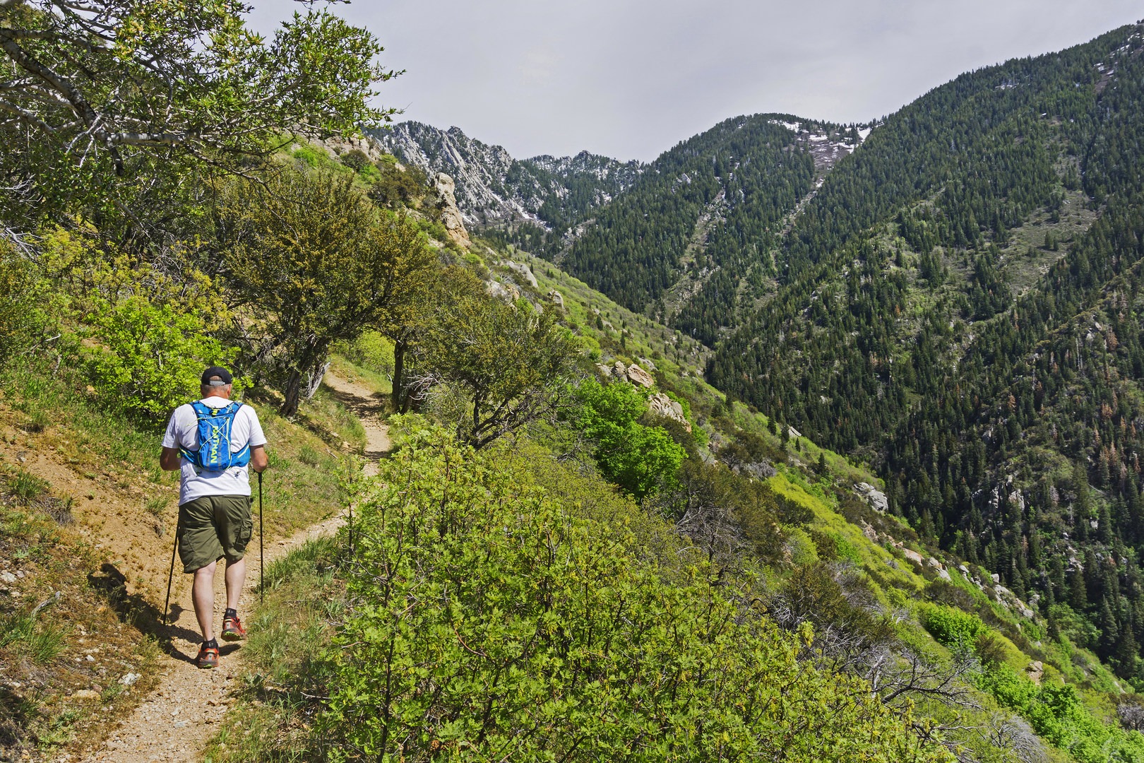 Most people head up Little Willow for few miles, but you can continue all the way up into Big Willow and eventually Bell's Canyon.