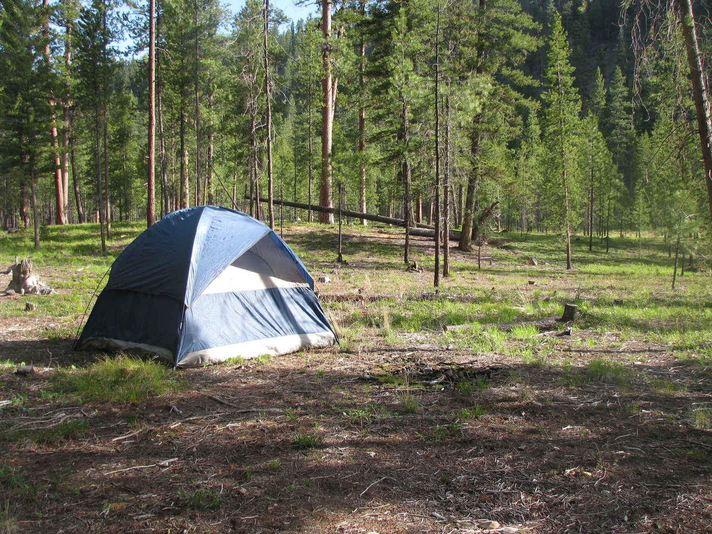 The terrain is flat and ideal for setting up a tent.
