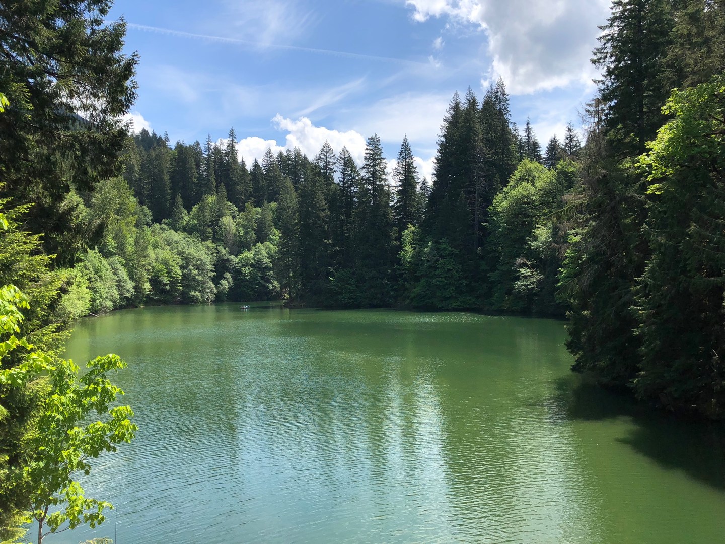 Peaceful Cove off of Detroit Lake, commonly reffered to as the Blowout arm. This is a great area to fish, swim, or have a picnic.