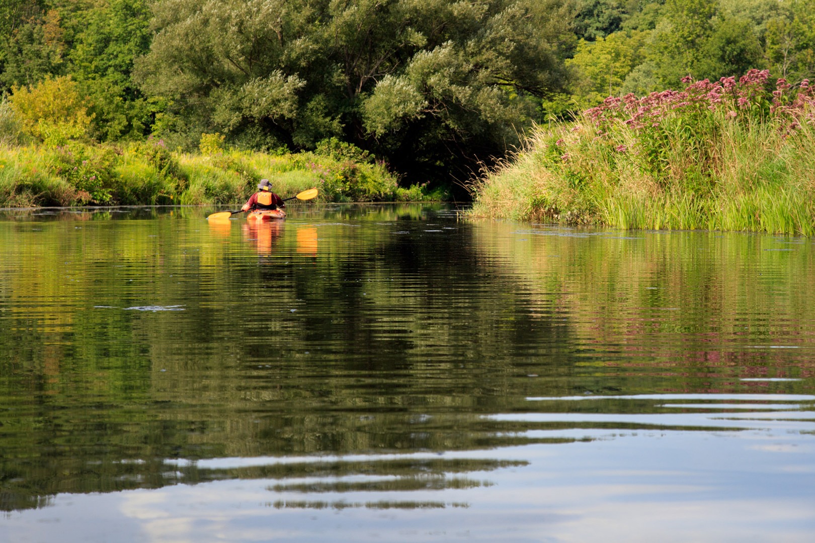The lake has some scenic coves with little boat traffic.