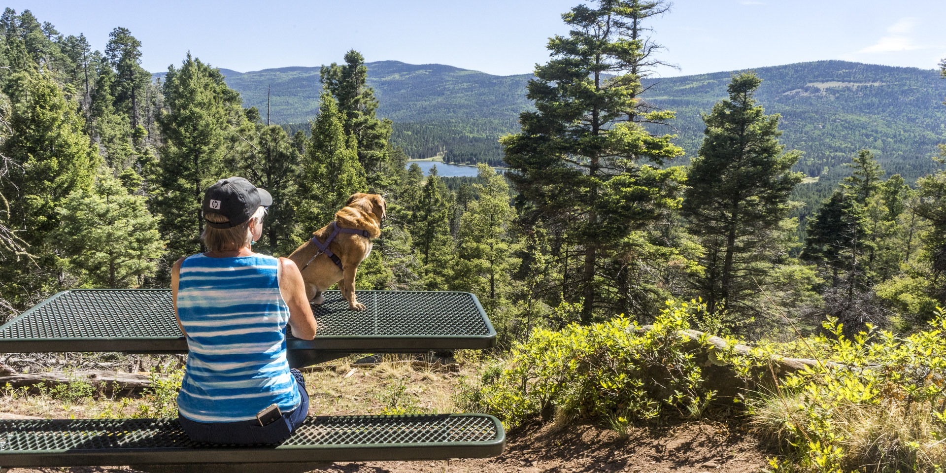 The southern end of the loop is a great spot to take in the view.