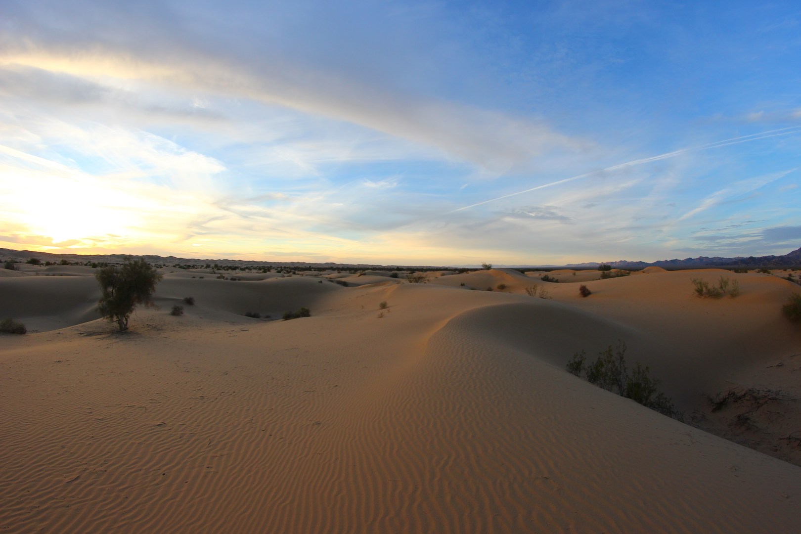 North Algodones Dunes Wilderness Area Outdoor Project