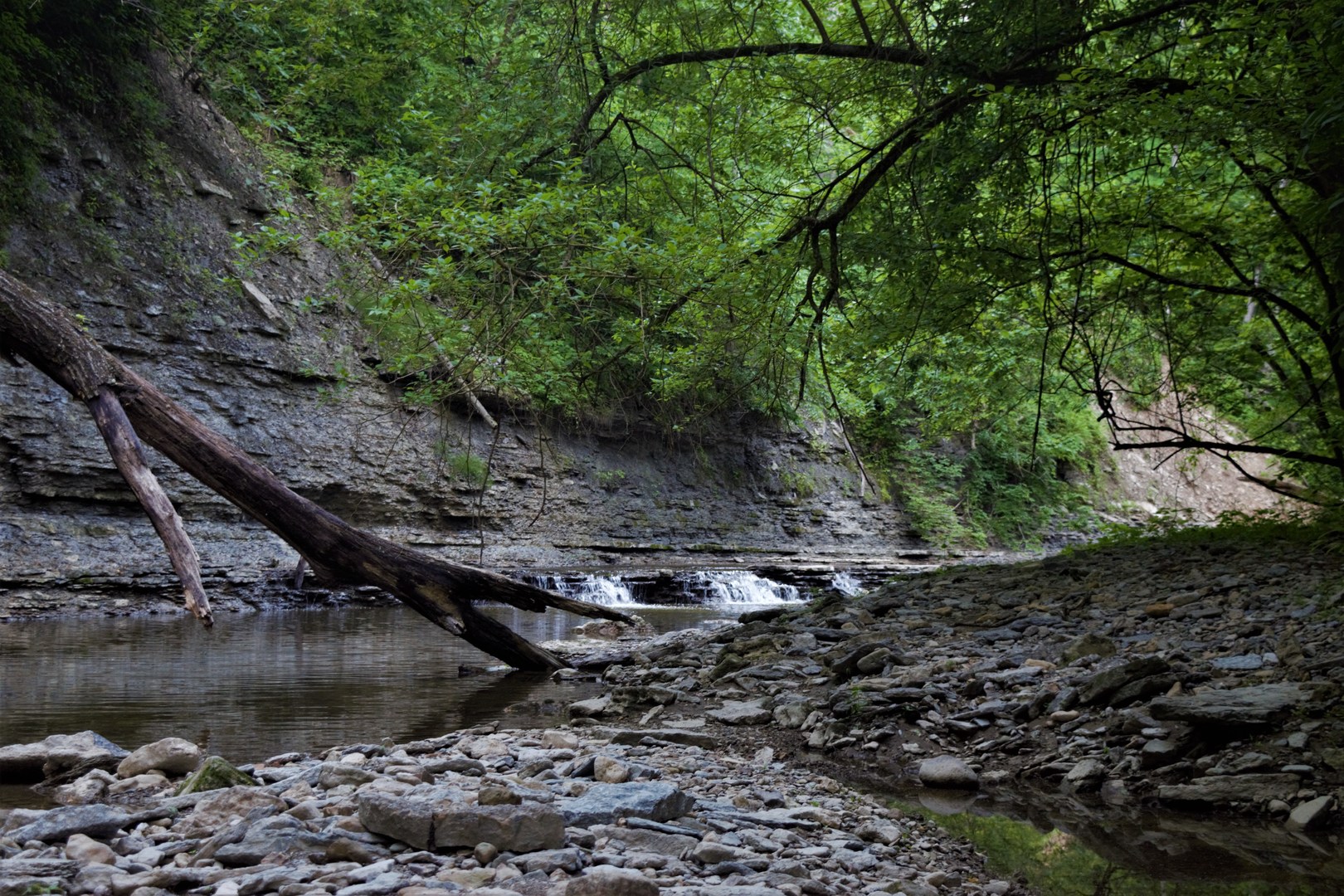 Creek bed along Trail 2.