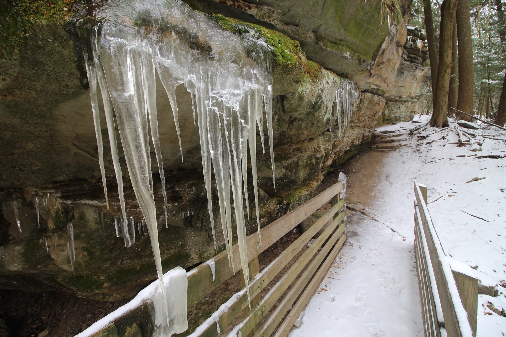 Large icicles forming along the trail.