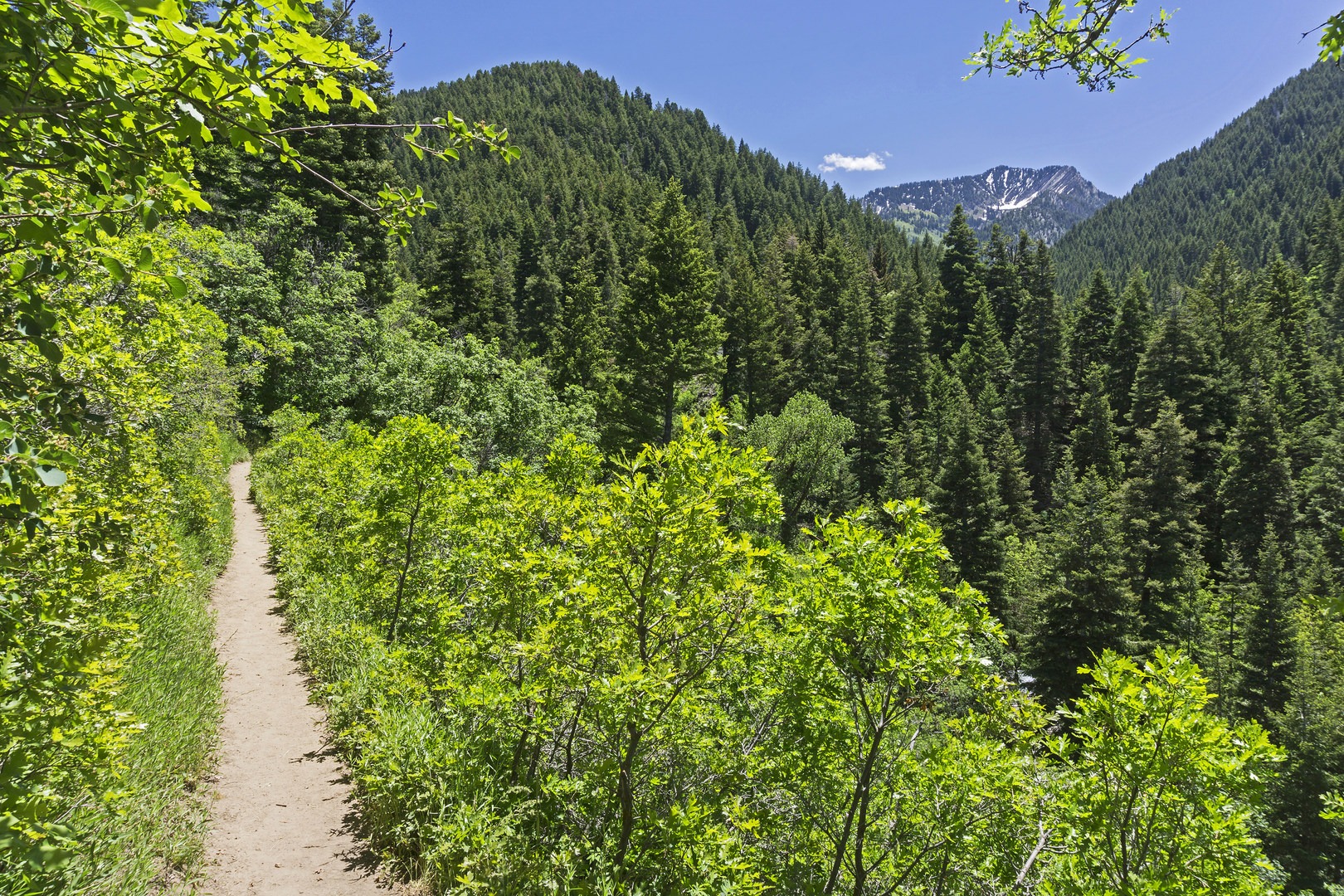 This is a beautiful trail, especially in early summer.