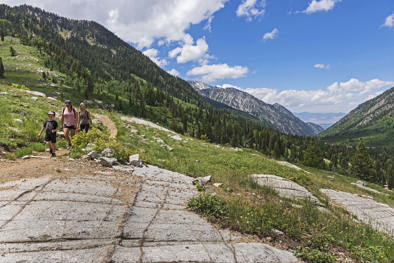 Walking Miners Road to Big Mountain Trail Loop.