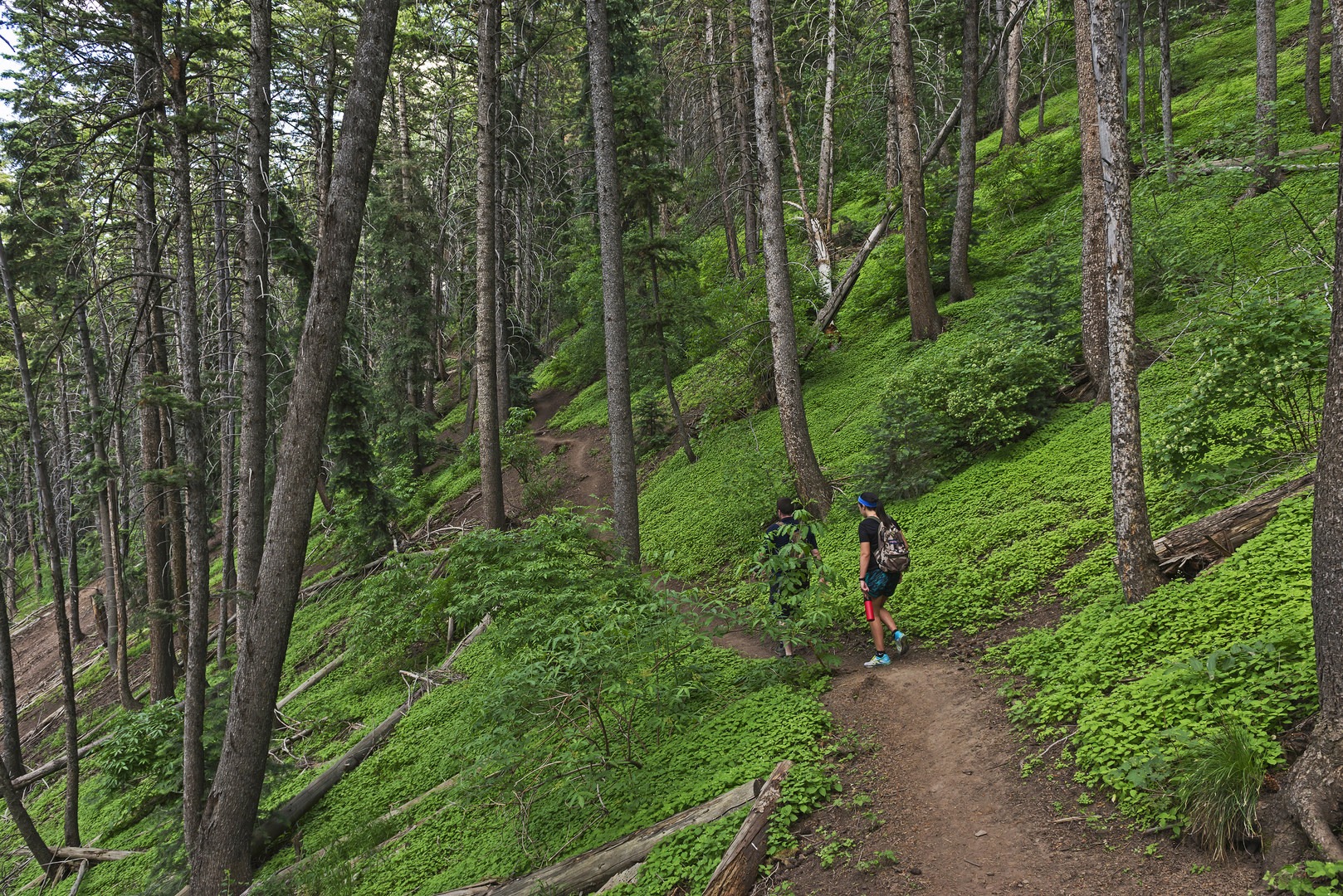 The hillsides are covered in a thick undergrowth.