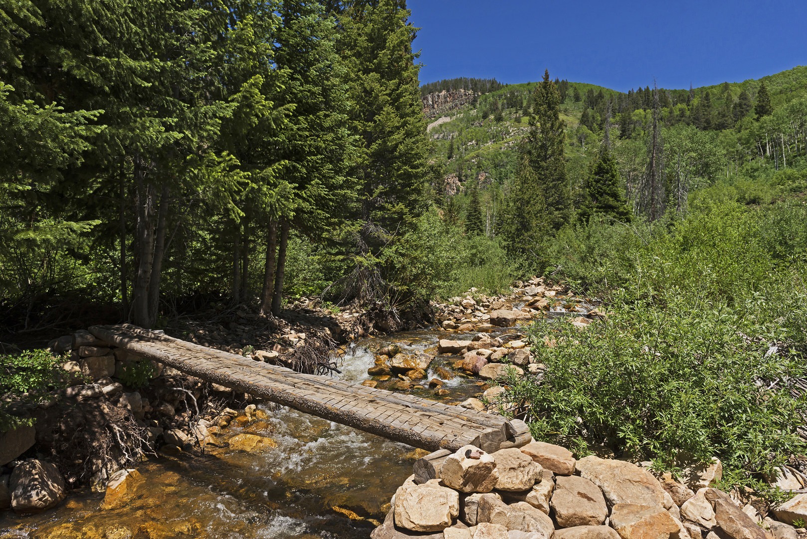 A somewhat unstable bridge just before a steep section of the hike.