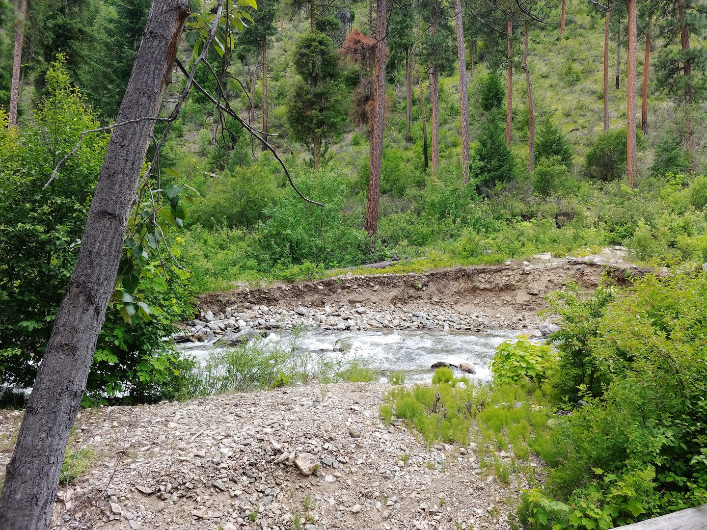 The Mad River. Access to the river can be found along the campsite loop.