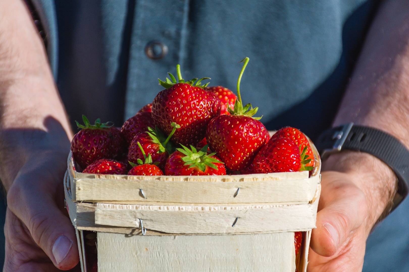 Delicious berries ready to be enjoyed.
