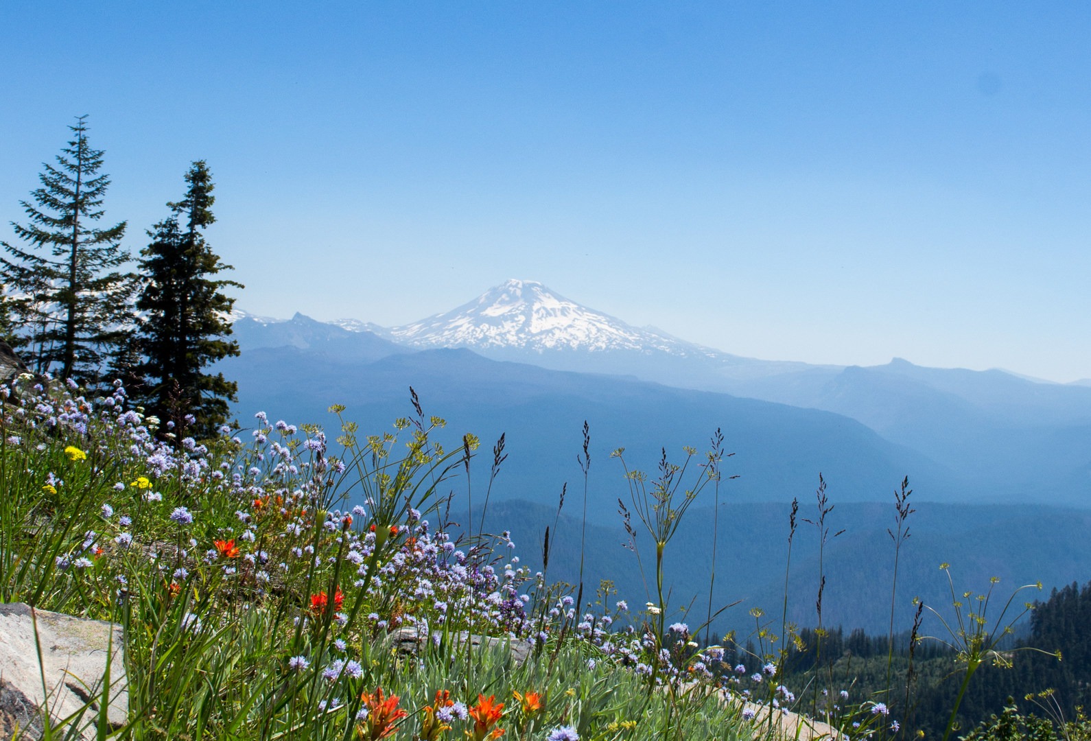 View from the summit of Horsepasture Mountain.