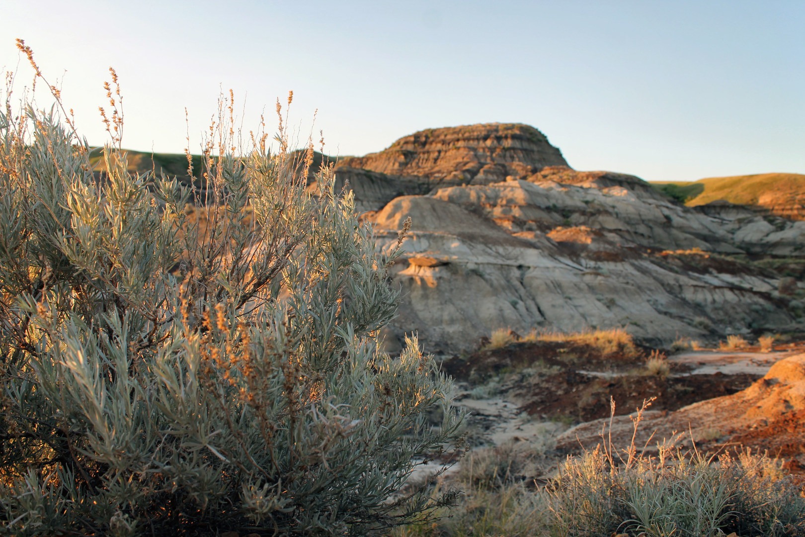 The sun sets along the interpretive trail at Midland Provincial Park.