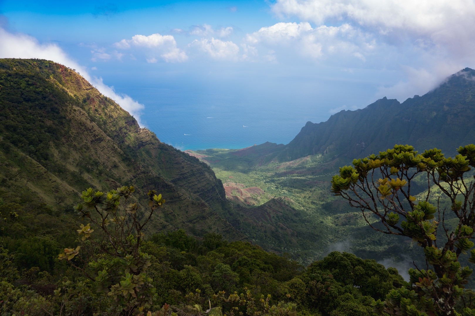 The lookout down to Kalalau Beach on the Na Pali coastline.