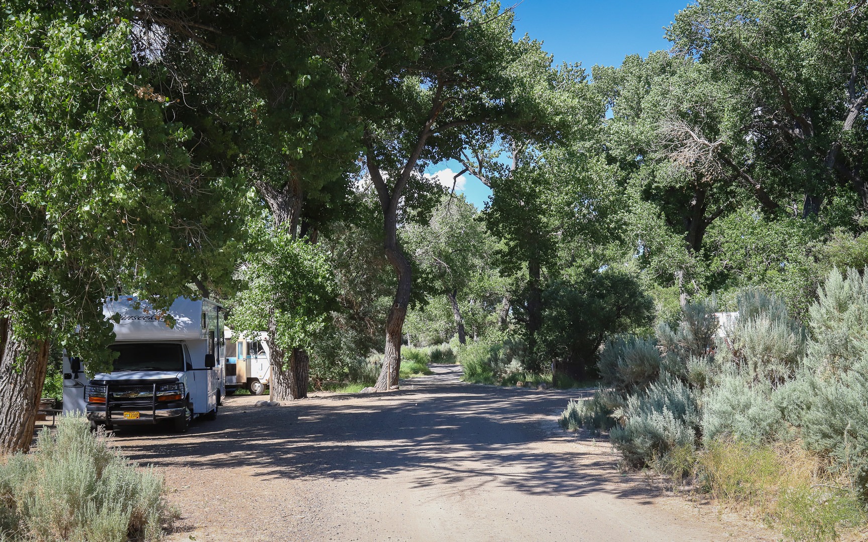 The first couple of sites do sit beneath shade, though they also suffer from sitting adjacent to the highway.