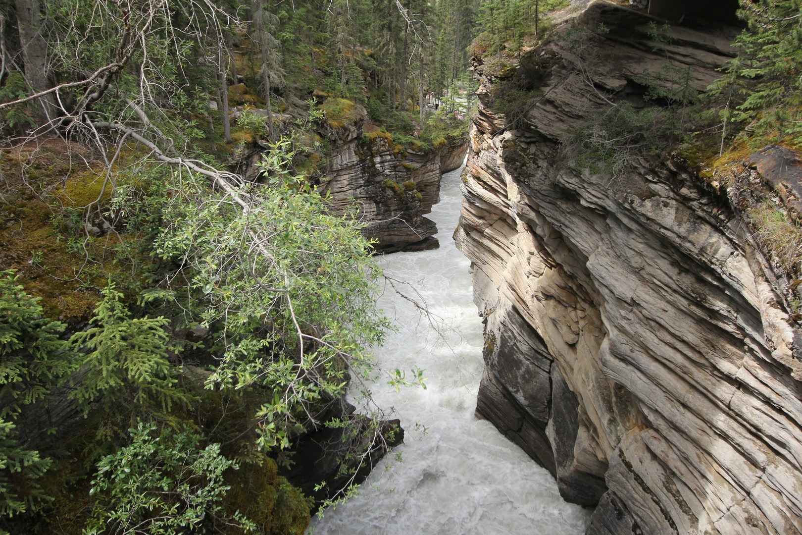A common view of the Athabasca Falls looking down toward the river.
