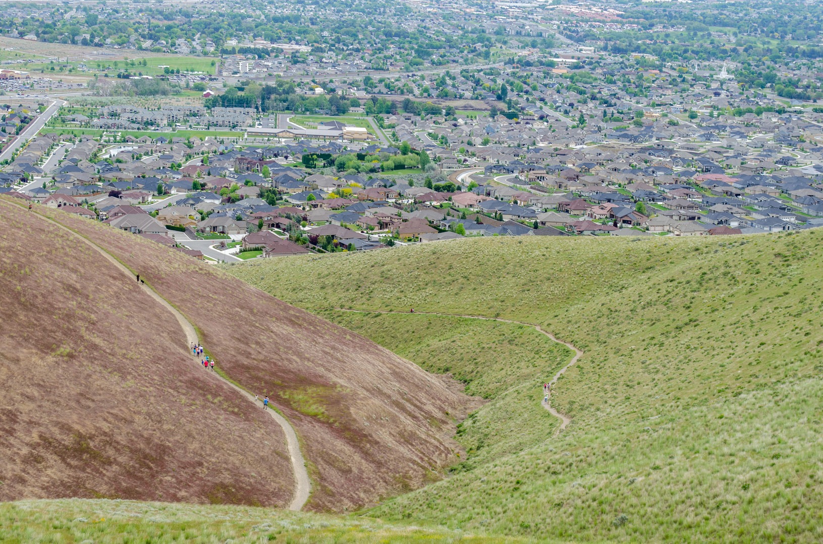 Badger Mountain Trail.