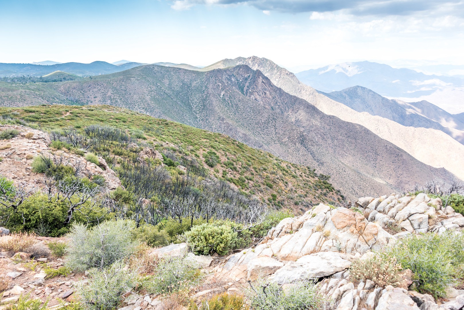 View from Foster Point.