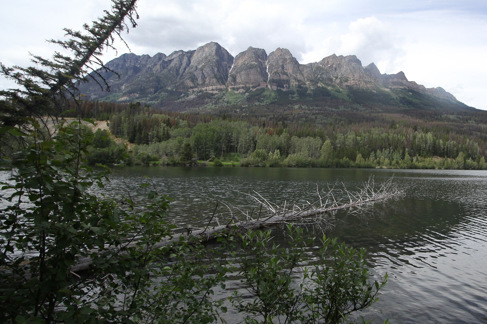 Mount Lucerne (2,412 m) rises over a kilometer over Yellowhead Lake and the Labrador Tea Trail.