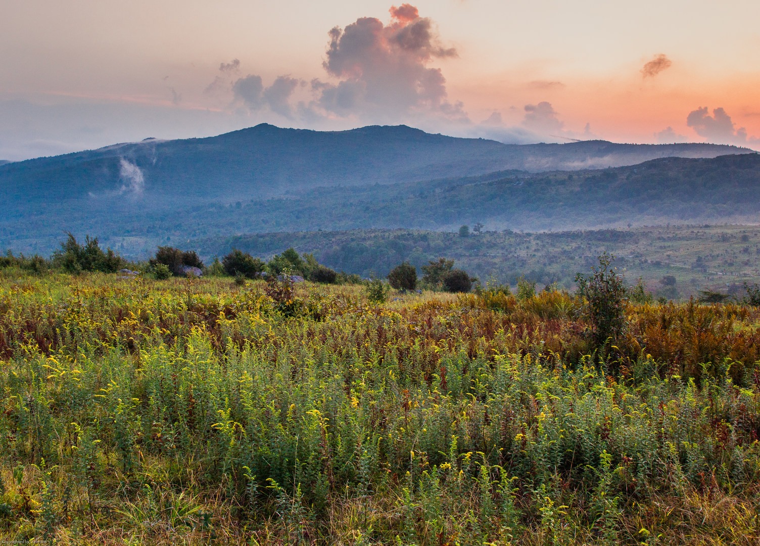 Wilburn Ridge Loop via Pine Mountain + the Appalachian Trail Outdoor
