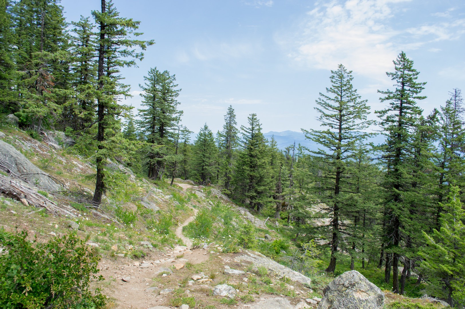 The Mickinnick Trail in Northern Idaho.