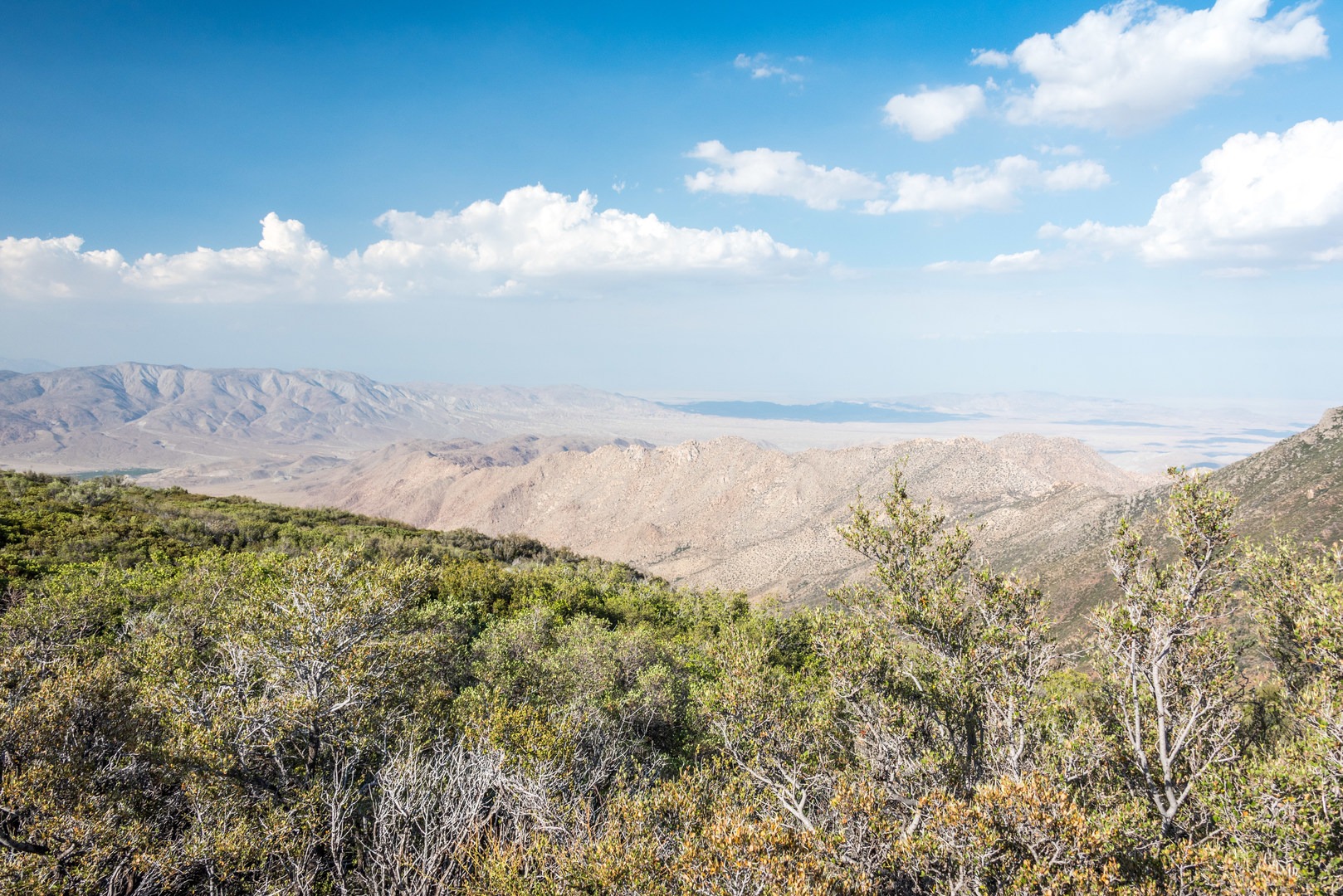 View of the Anza-Borrego from the Desert View Trail.