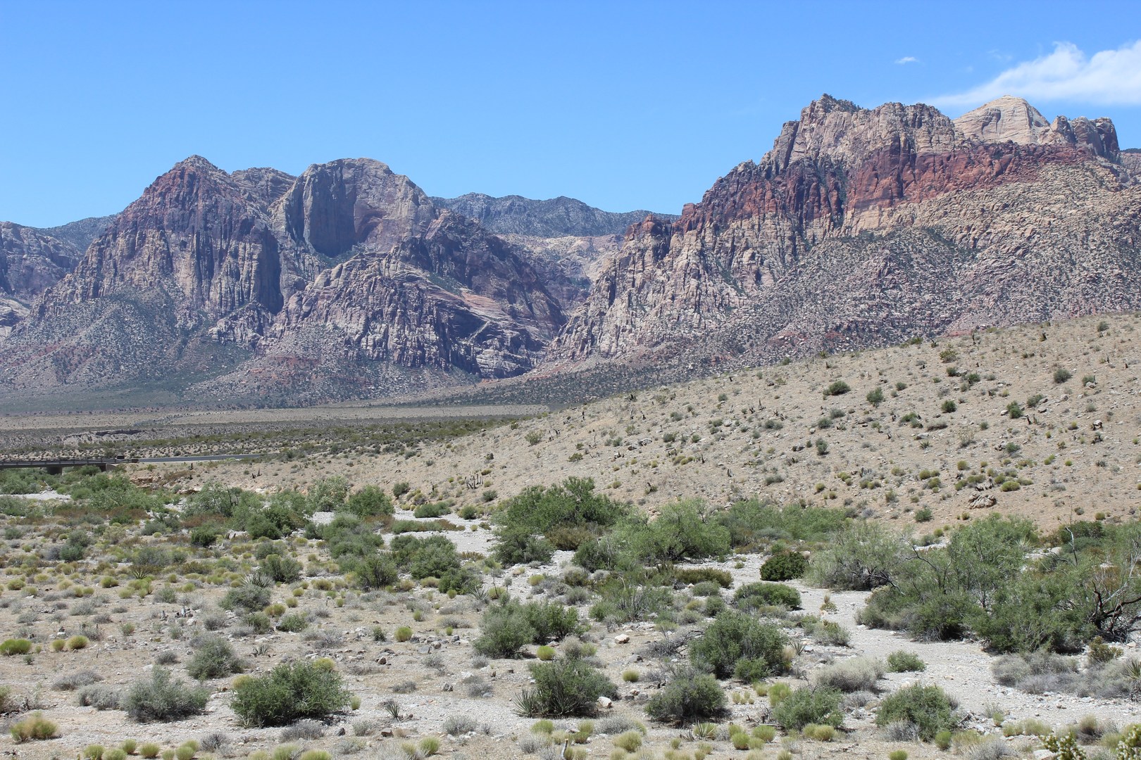Big stretch of desert along with canyon views at the start of the trail.