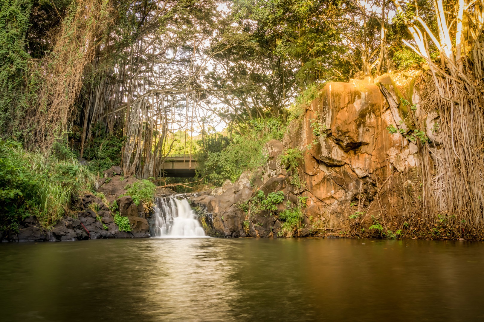 Head down the trail to the water's edge for a view of the entire pool, falls, and cliff from below.