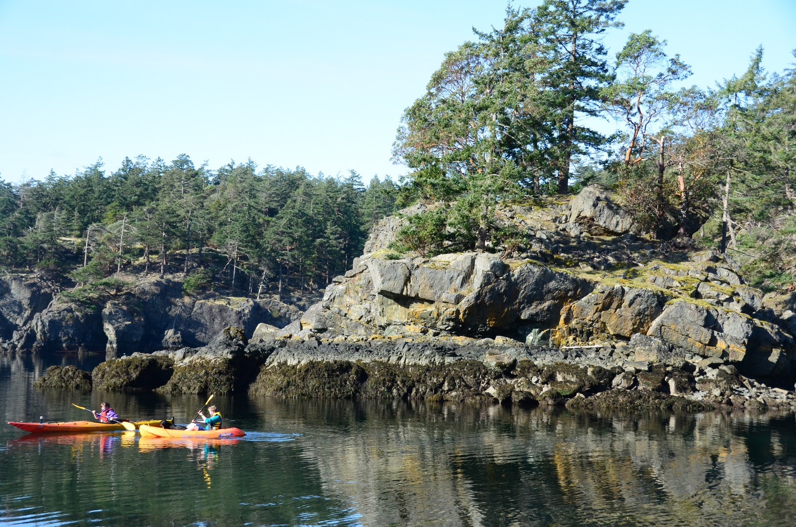 Low tide often offers the most interesting views of the shore and water beneath.