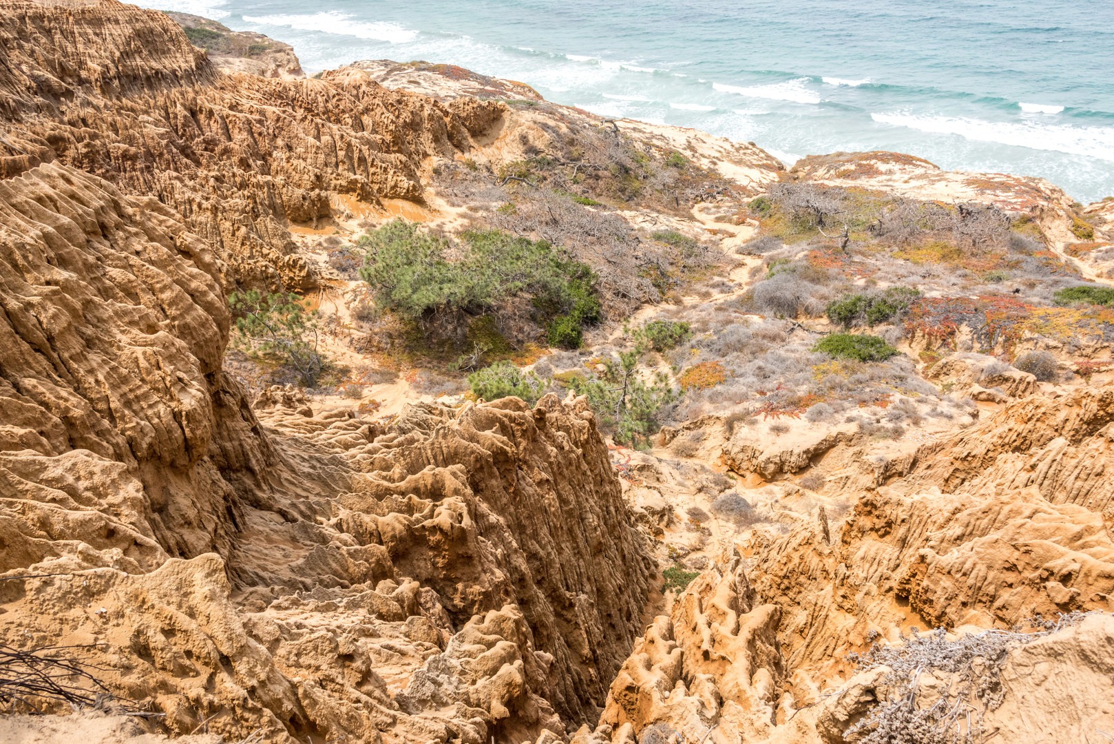 Razor Point sits 150 feet above the crashing waves and eroding sandstone cliffs.