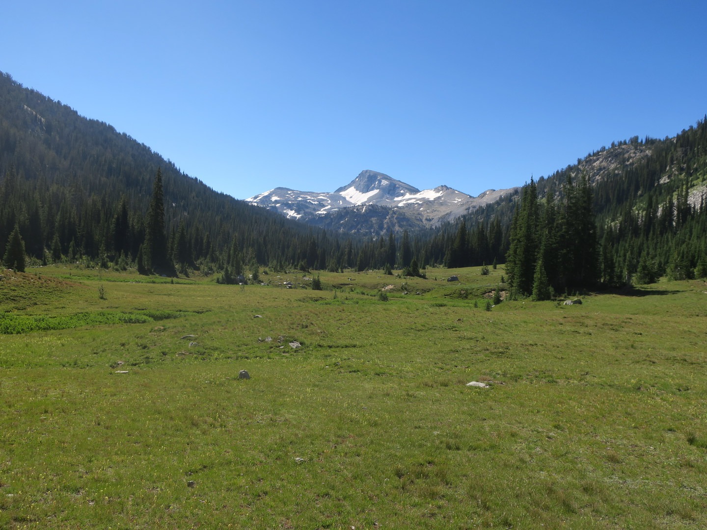 View of Eagle Cap from the meadows.
