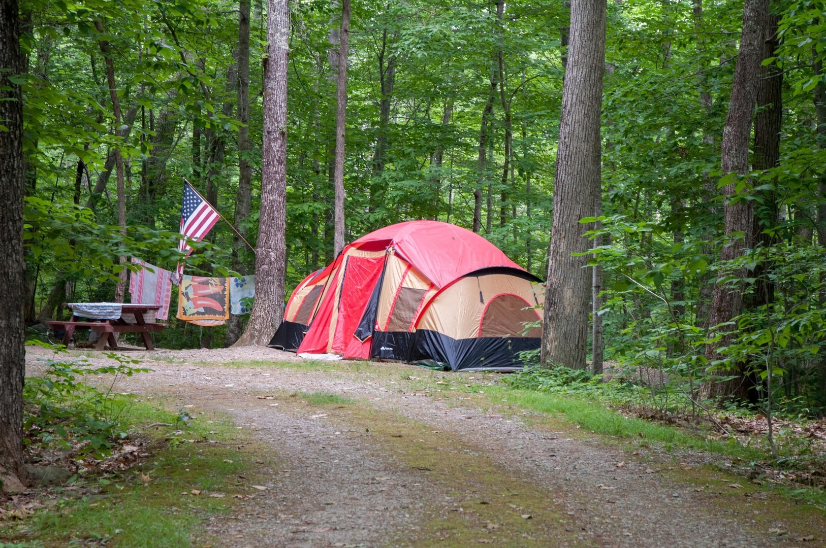 A typical campsite at Camden Hills.
