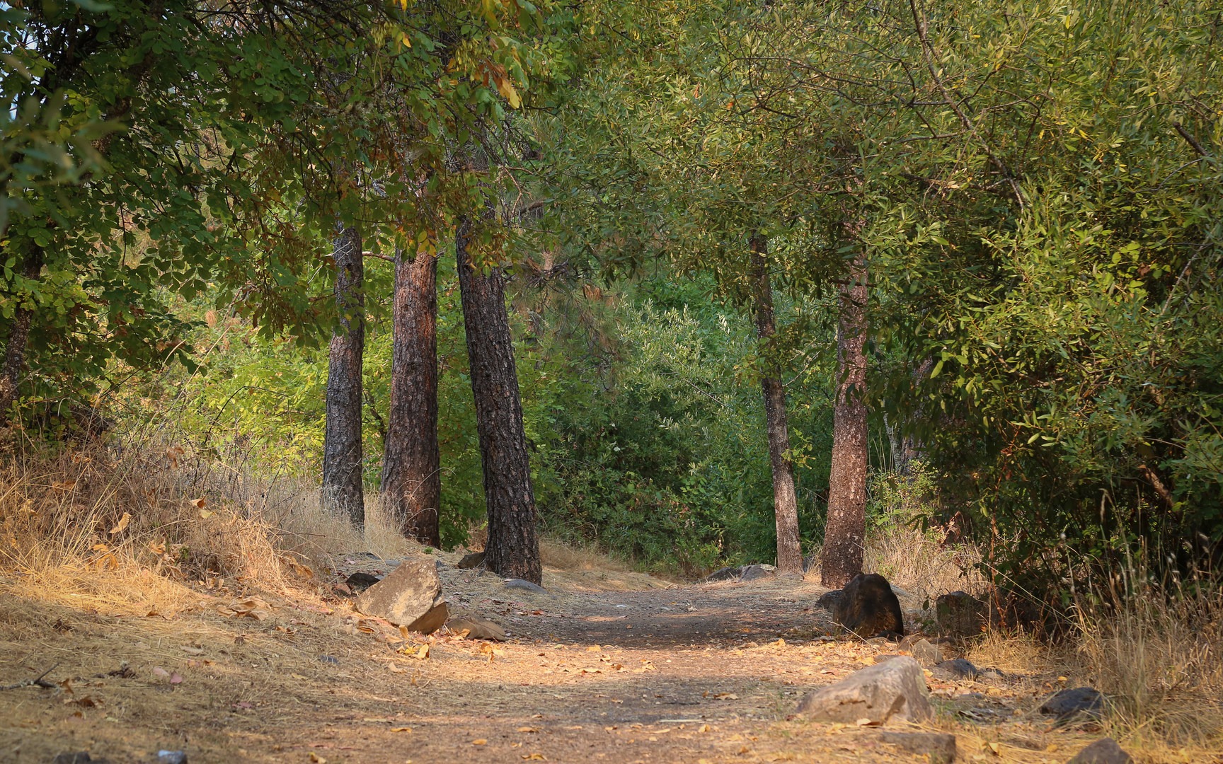 River's Edge Trail Outdoor Project