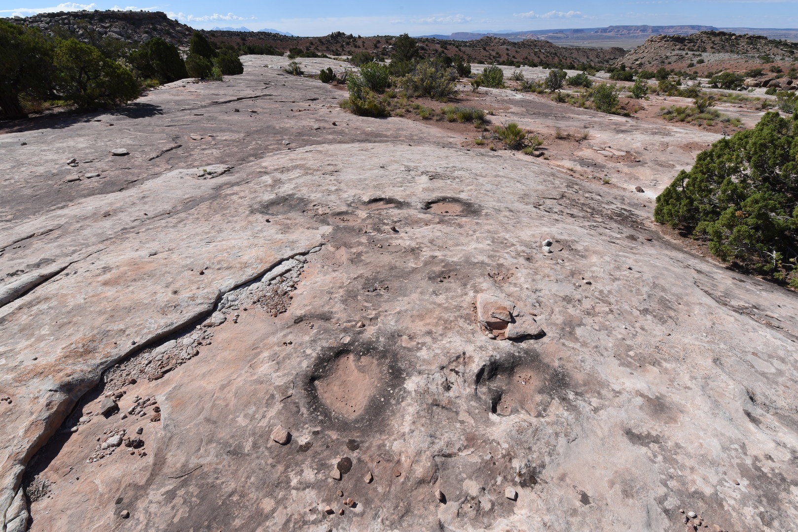 Dinosaur tracks looking west.