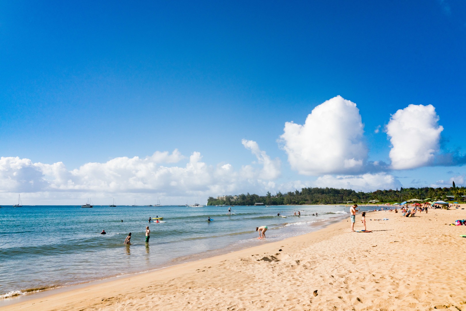 Summer is ideal, as the swell is small and the bay is more calm.