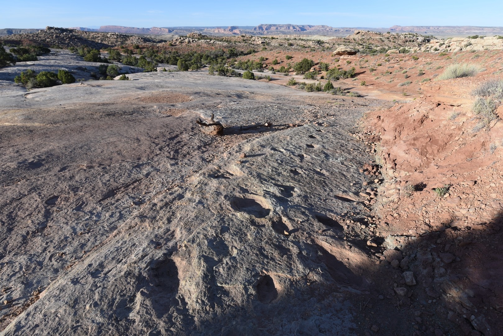 Klondike Bluff Dinosaur Tracks.